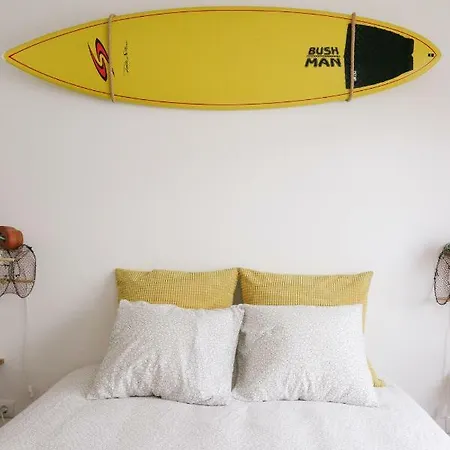 Nvidas * Figueira da Foz